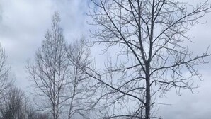 Un pont en bois recouvert de neige, avec des garde-corps en métal, qui mène à un paysage enneigé.