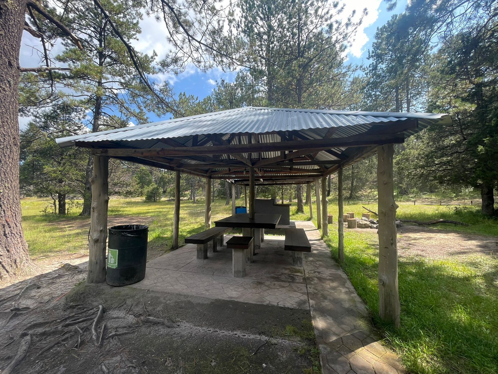 Un área de picnic techada con bancos y un cubo de basura.