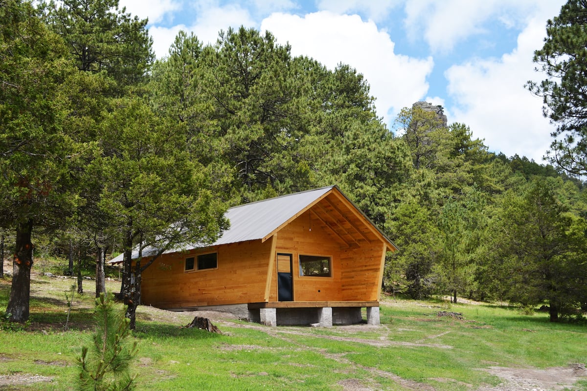 A wooden cabin with a sloped roof, a front door, and windows, surrounded by a grassy area and trees.