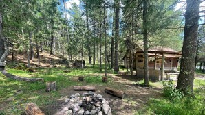 Uma cabana rústica com um poço de fogo rodeado por pedras, situada numa área arborizada com árvores altas e céu claro.