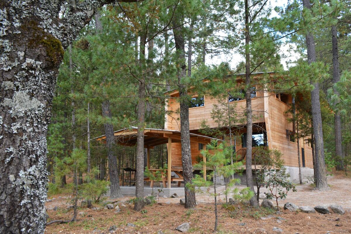 A wooden cabin with a covered porch and multiple windows, surrounded by trees.