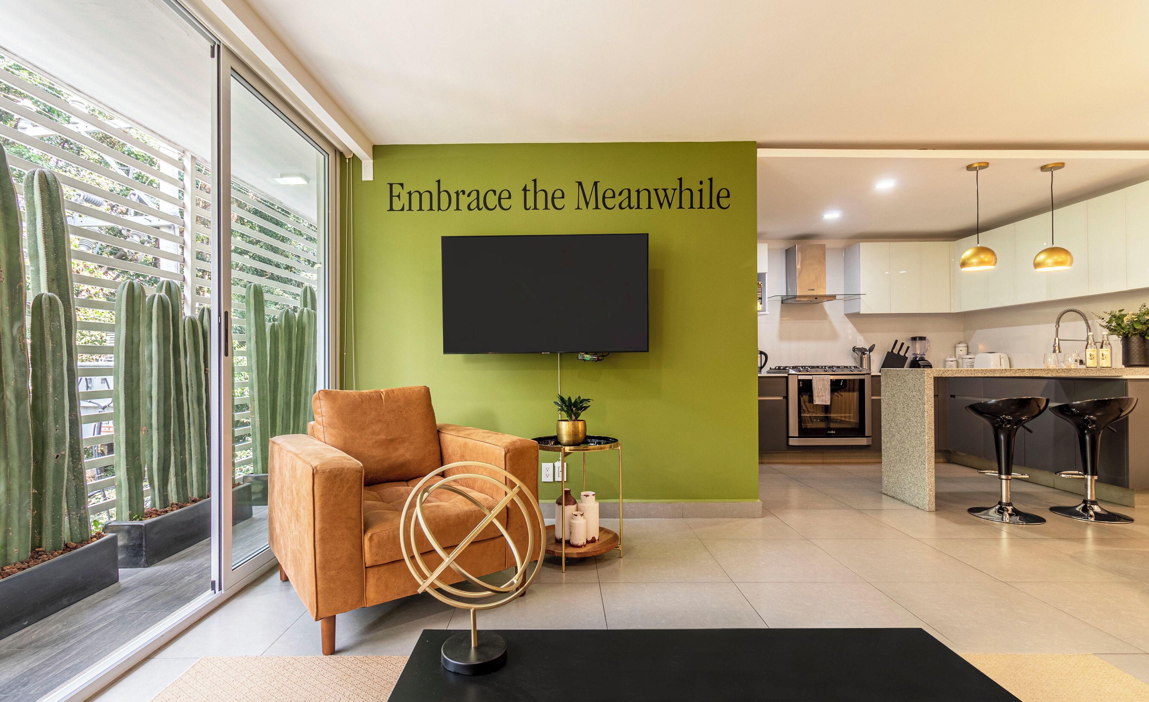 高级公寓 | 电视