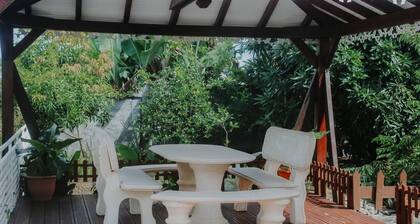 Le Lodge Cocotier, F2 in a residence with swimming pool