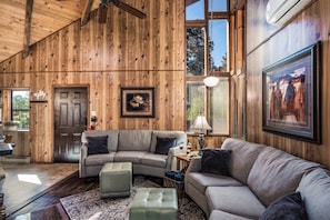 Smart TV, fireplace, DVD player, video library