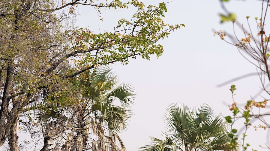 Radisson Blu Mosi-oa-Tunya Livingstone Resort
