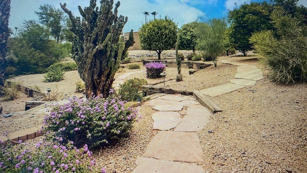Un jardin aménagé avec une grande variété de plantes et un chemin pavé.