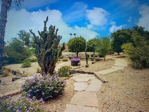 Ein angelegter Garten mit verschiedenen Pflanzen und einem gepflasterten Weg.