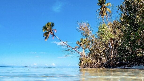 Una playa despejada con aguas poco profundas, palmeras y un horizonte lejano.