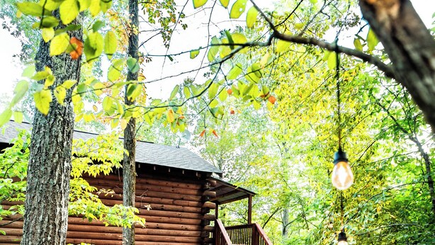 A wooden cabin with a wooden deck and a light bulb hanging from a branch.