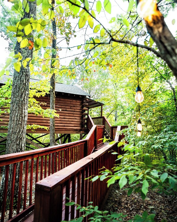 Property grounds - Deer Run Treehouse - Starlight Haven (Hot Springs)