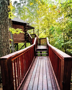 Property grounds - Deer Run Treehouse - Starlight Haven (Hot Springs)