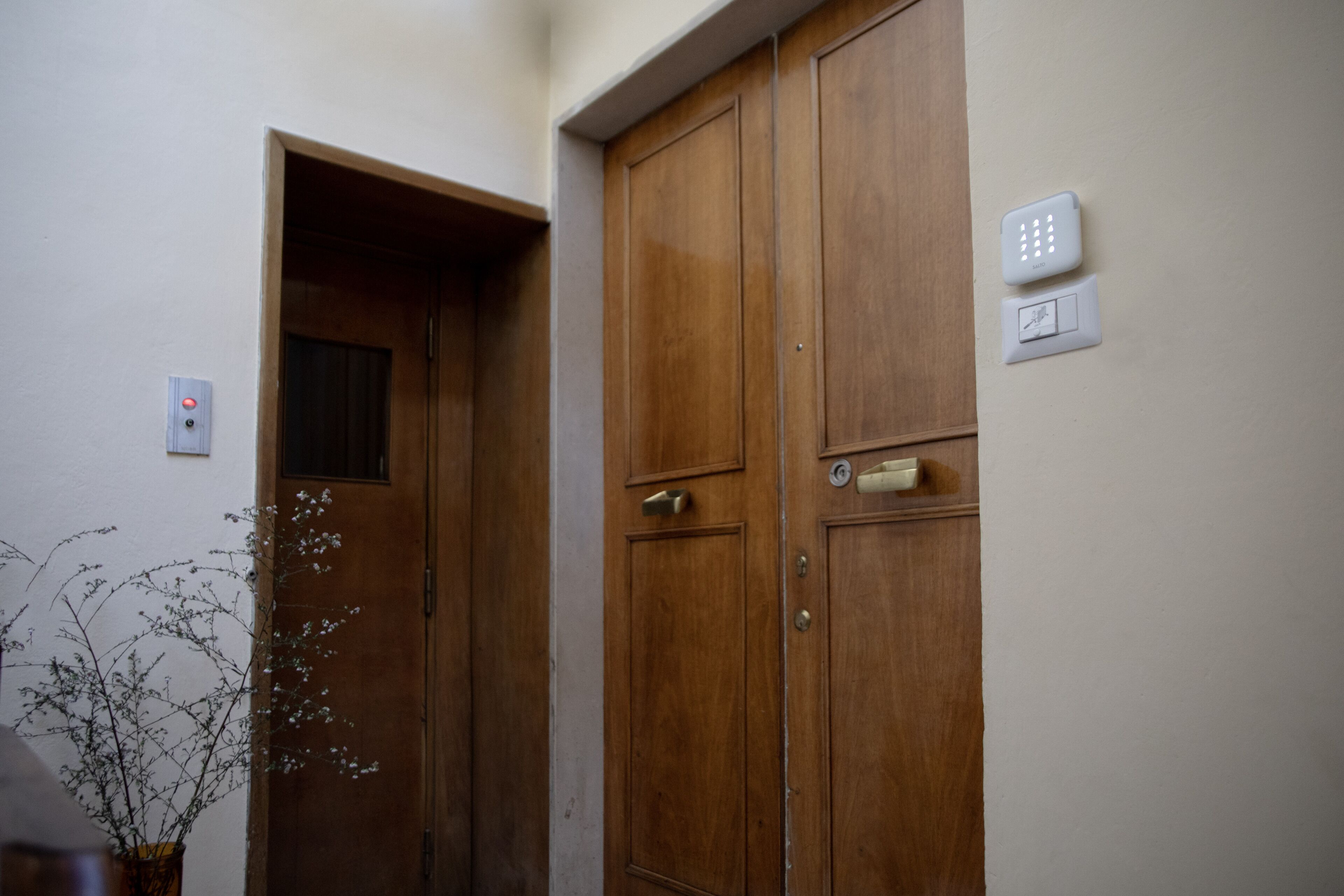 A hallway with wooden doors and a potted plant.