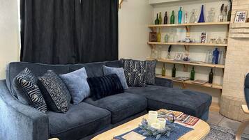 Smart TV, fireplace, books, computer monitors