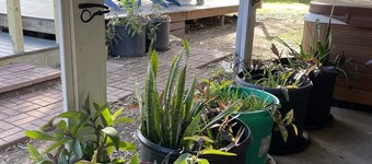 Casa Victoria-Pool, Hot Tub, Coffee Bar, Privacy fenced,Kid's PlayRm, Shopping