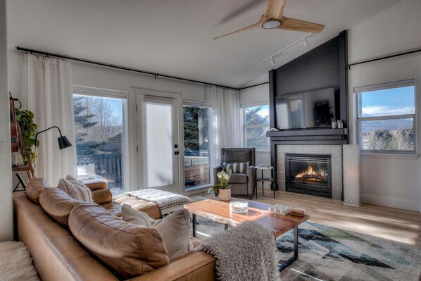 Smart TV, fireplace, books, stereo