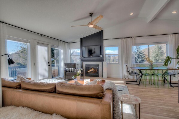 Smart TV, fireplace, books, stereo