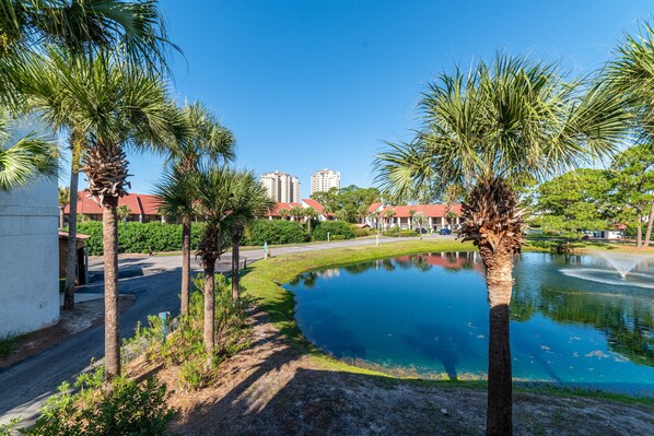A serene outdoor area with a pond, palm trees, and a building with a red roof in the background.