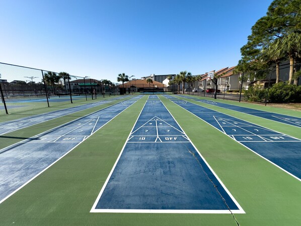 Una cancha de paletas con carriles verdes y azules, rodeada por una valla y palmeras.