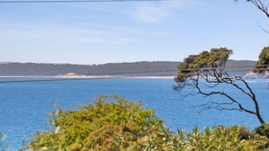 Et kystlandskab med kig til havet, en sandstrand og et træ i forgrunden.