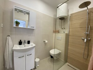 Shower, hair dryer, towels
