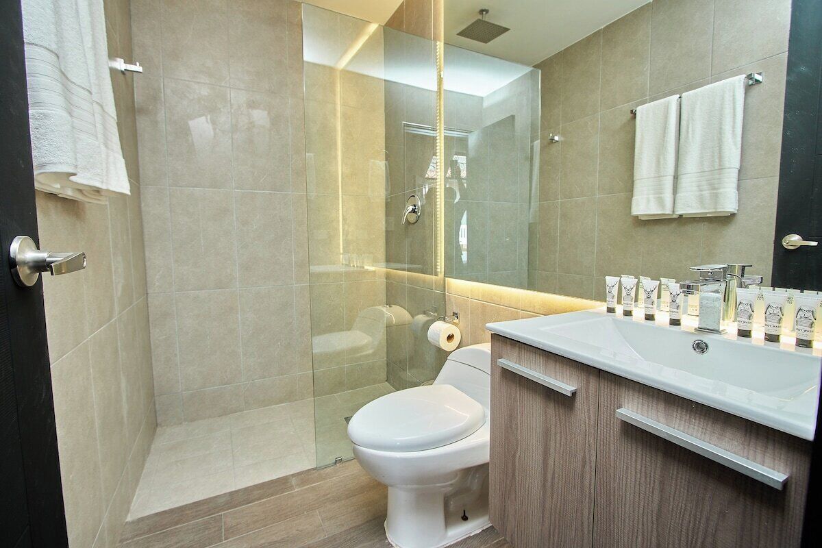 Chuveiro, secador de cabelo, toalhas de banho 