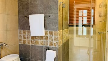 Regadera, secadora de cabello, toallas