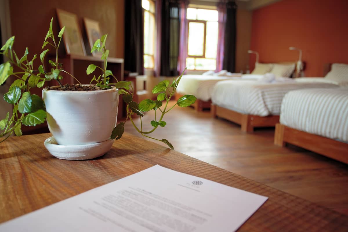 A room with a bed, a bedside table with a plant, and a window with curtains.