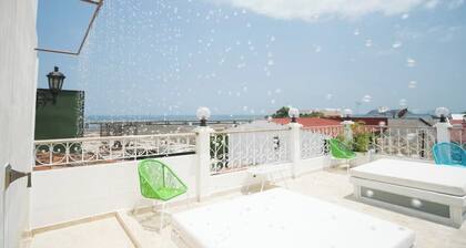 Spectacular apartment with roof and Jacuzzi P9