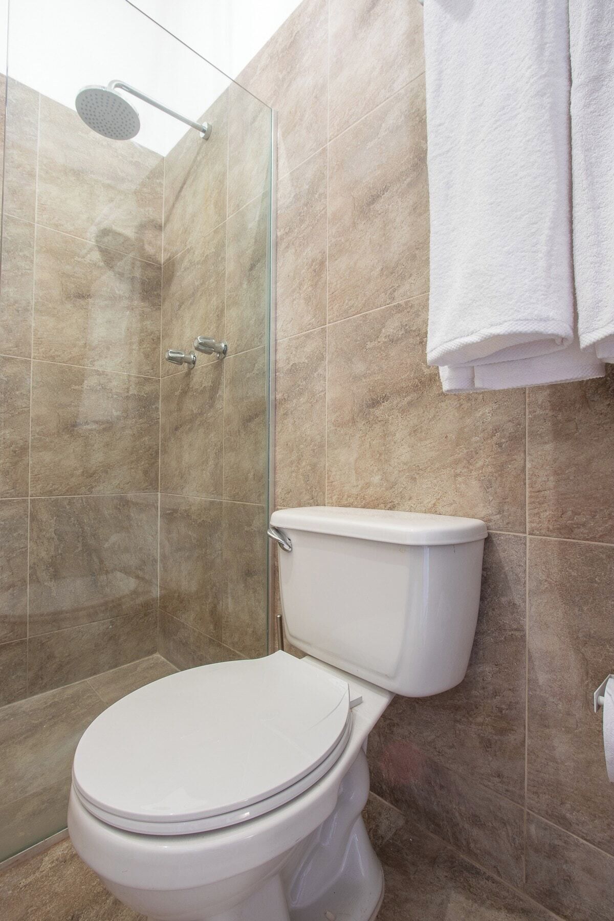 Une salle de bain comprenant des toilettes, une douche fermée par une paroi de verre et un porte-serviettes.