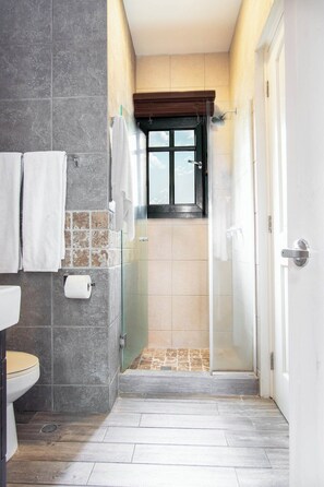 Shower, hair dryer, towels