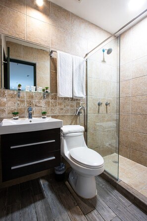 Shower, hair dryer, towels
