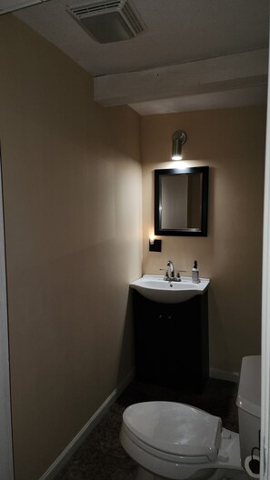 Combined shower/tub, hair dryer, towels, soap