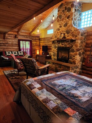 Smart TV, fireplace, books, stereo