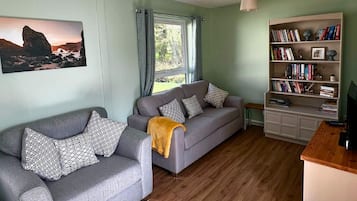 TV, DVD player, books, video library