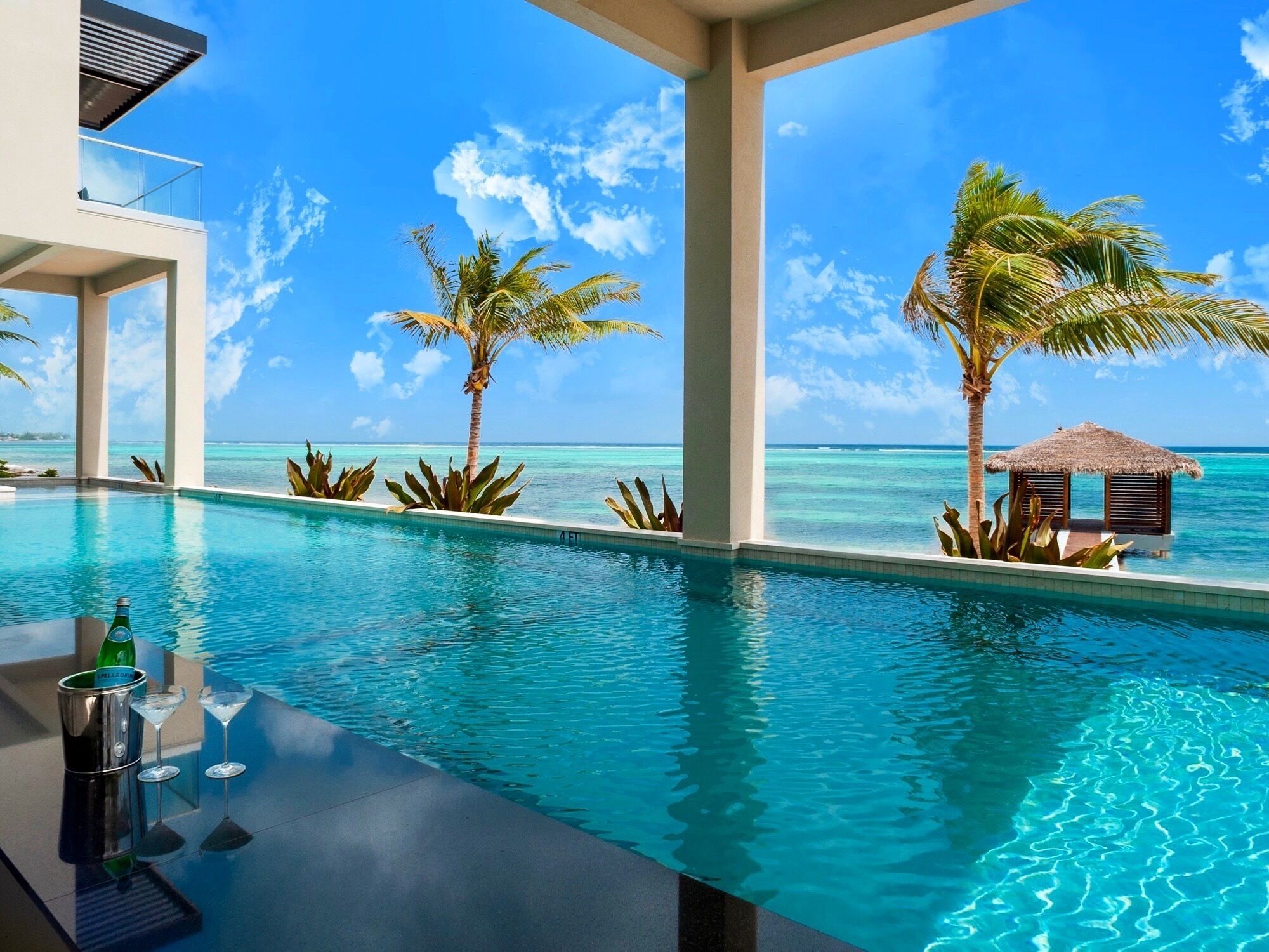 A pool with clear blue water, palm trees, and a view of the ocean.