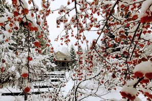 Ein Haus, umgeben von schneebedeckten Bäumen mit roten Beeren.
