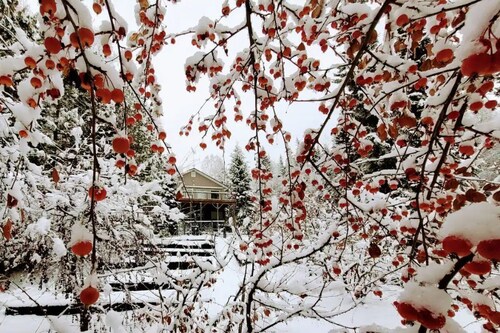 Cozy and private home in the hills