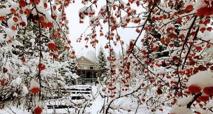 Cozy and private home in the hills