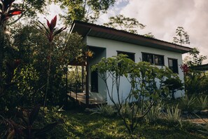 Property grounds - Nature  Waterfall Cabinas ~  20 minutes to the Beach (Platanillo)