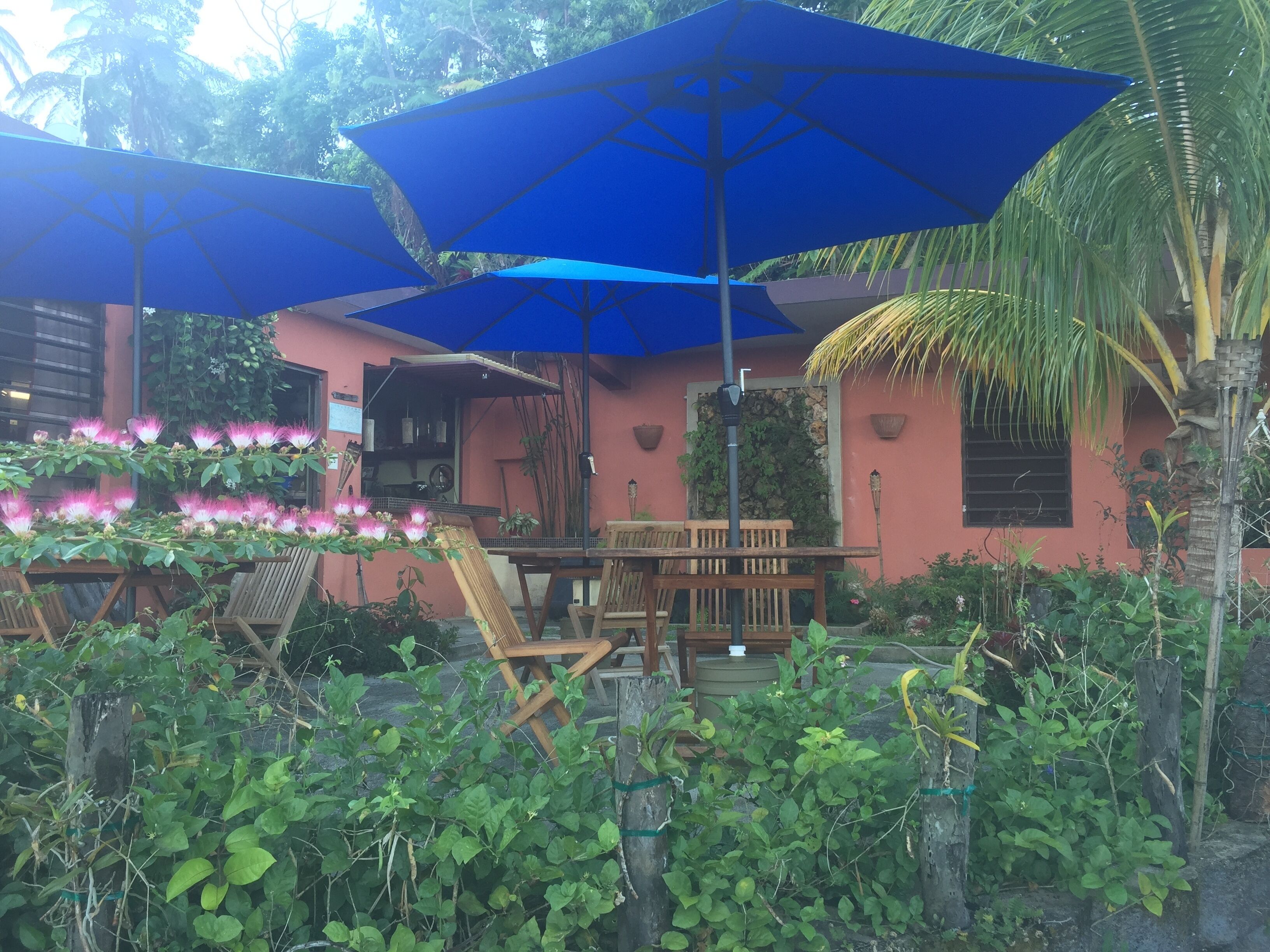Un patio con sombrillas azules, muebles de madera y abundante vegetación.