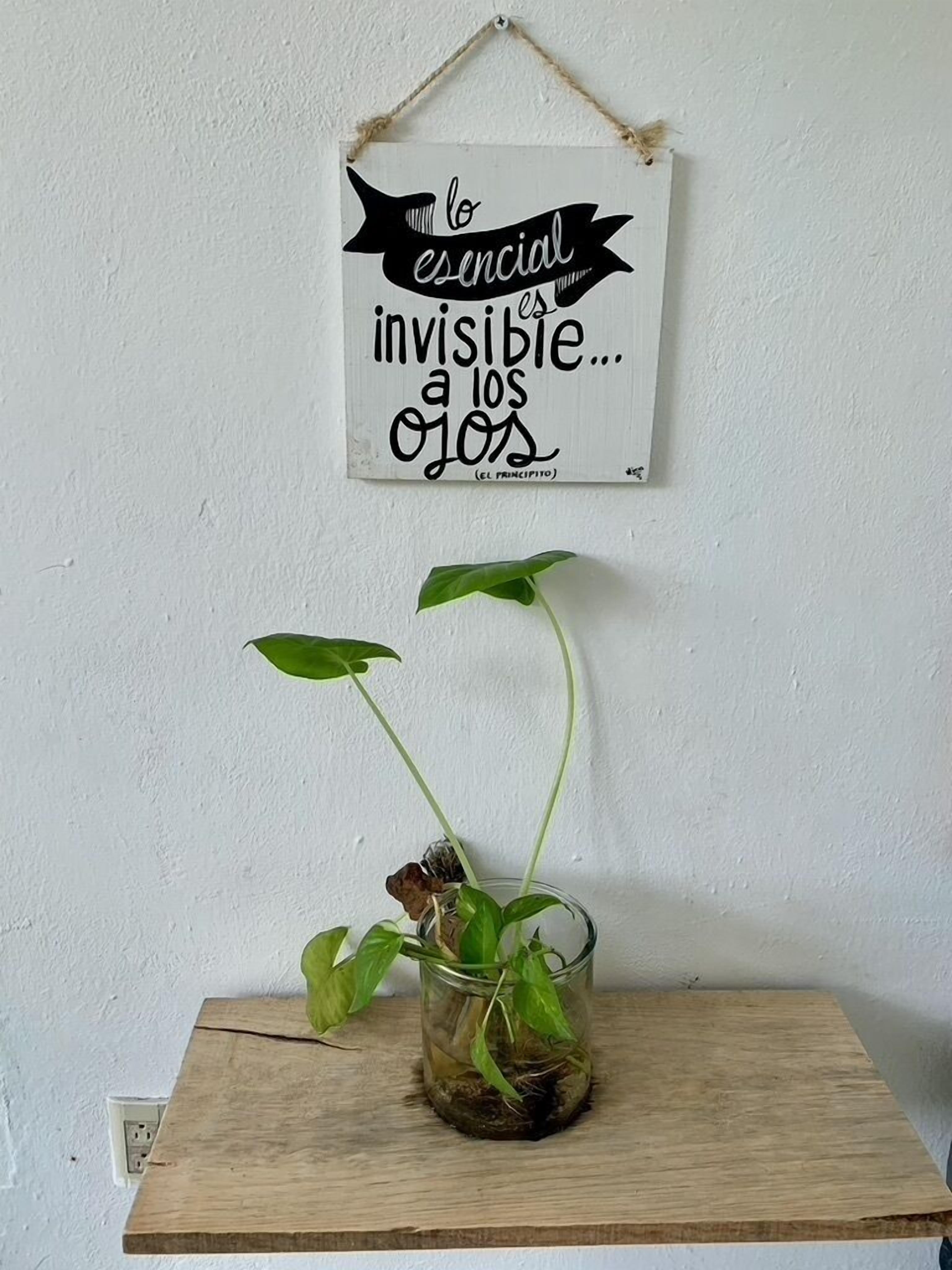 Photo - Casa Borush by Ecoplaneta