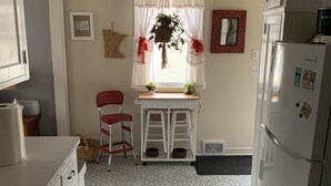 Una cocina con refrigerador, un lavamanos, una ventana con cortinas, una planta colgante y un piso con diseño.