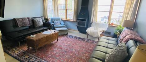Smart TV, fireplace, books