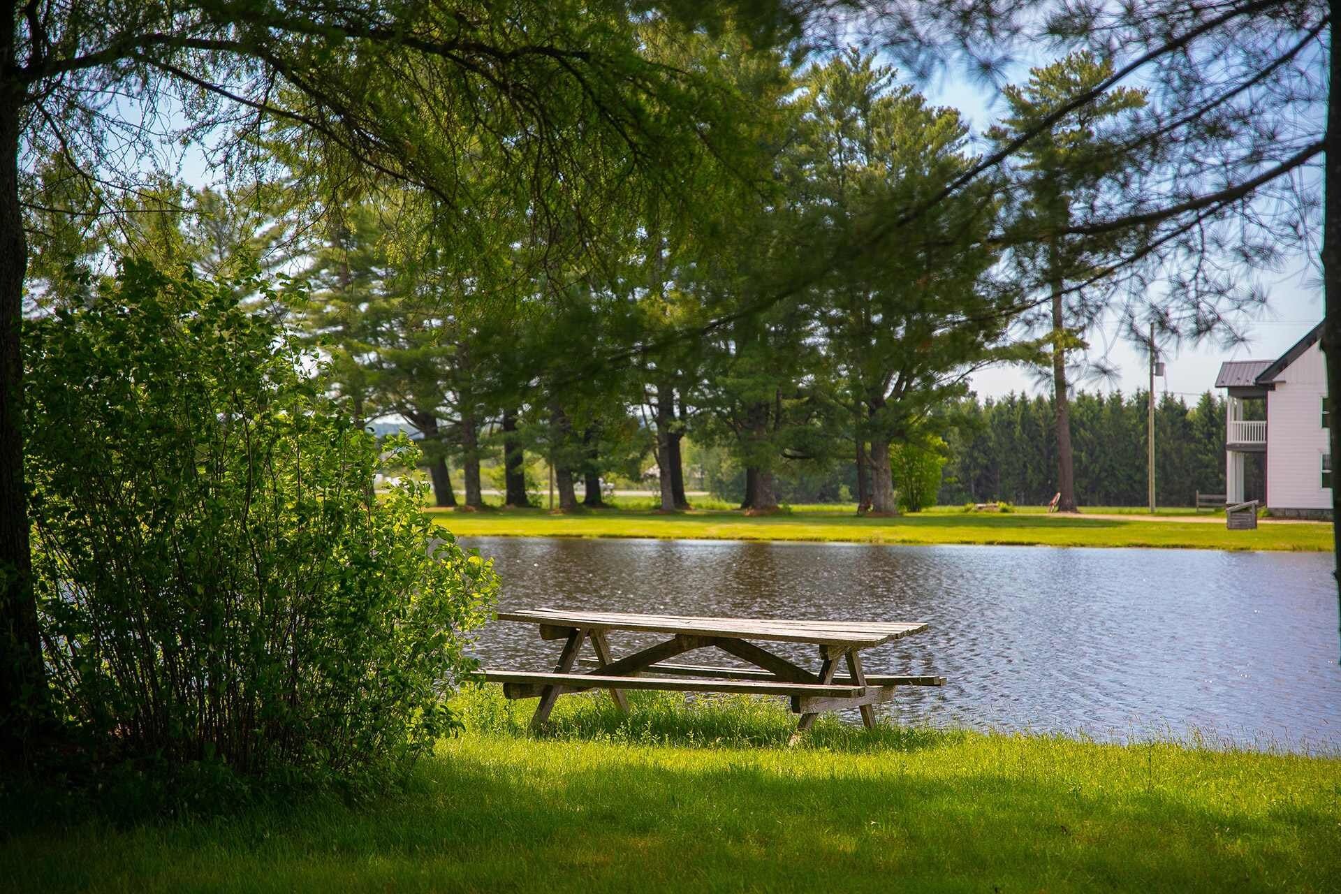 A picnic table by a calm lake surrounded by trees.