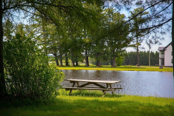 Una mesa de picnic junto a un lago tranquilo rodeado de árboles.
