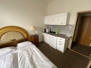 1 bedroom - Studio Golden 3 (Hlavní mesto Praha)