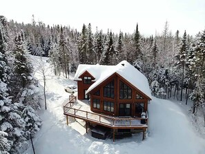 Una cabaña con fachada de madera y techo cubierto de nieve, rodeada por un bosque.