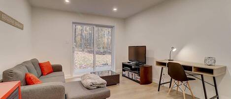 Fernseher, Kamin, DVD-Player, Arbeitsbereiche