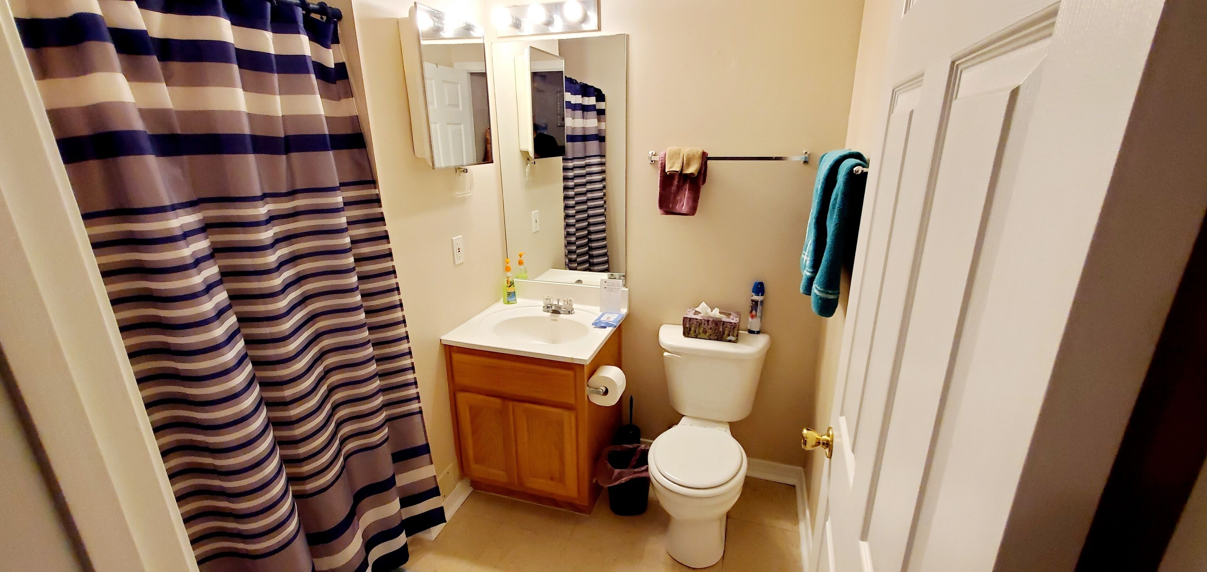 A bathroom with a striped shower curtain, a sink, a toilet, and a mirror.