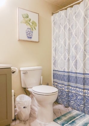 Free toiletries, hair dryer